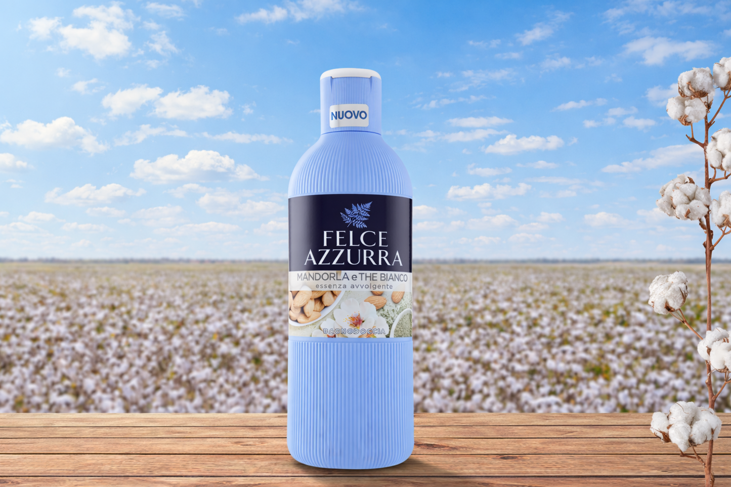 FELCE AZZURRA – MANDORLA & THE BIANCO