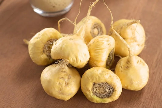 The History of Maca and Its Traditional Uses